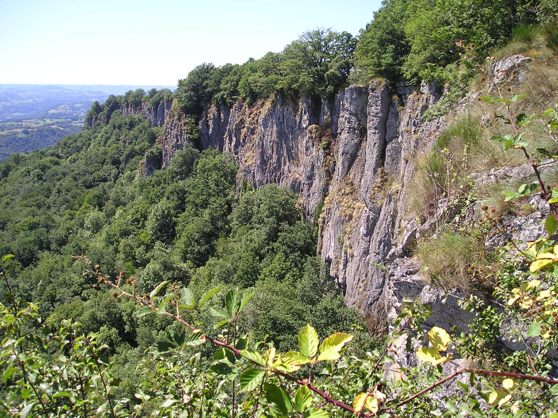 Orgues de Bort